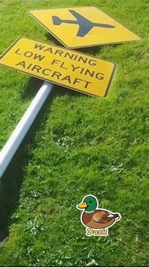 Blue Angels BUZZ the PIER #fishing #F/A-18 #beach #BlueAngels2026 #airshow #Pensacolabeach #nature