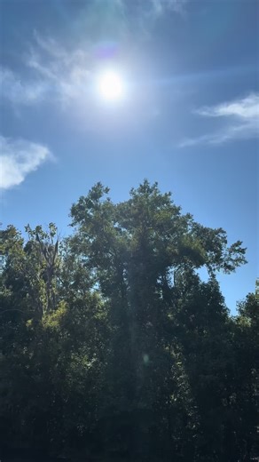 Where is our Sun? Something just doesn’t seem right about the light projecting from the Sun. Let me know what you think.🤔 Thanks for watching and joining.👍🏾