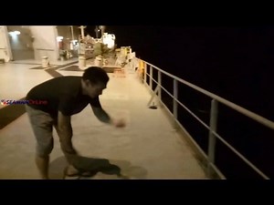 Worlds best fisherman (Matang-baka Master) Tips lure the fish from bottom to middle to top by adjusting 2 meters at a time and enjoy fishing, don't stop until you catch 30 kg of fish in 1 hr From Sir Ivan | Seaman OnLine