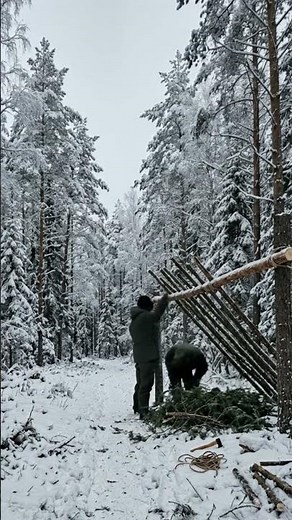 Winter Bushcraft—Complete Shelter Build With Natural Materials #bushcraft #camping #survival