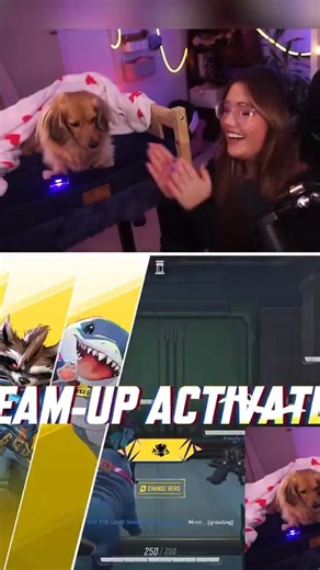 A dog has gone viral after her owner taught her to heal teammates in Marvel Rivals Pea learned how to press a button that activates Jeff's healing bubble in game | Pants are Dragon