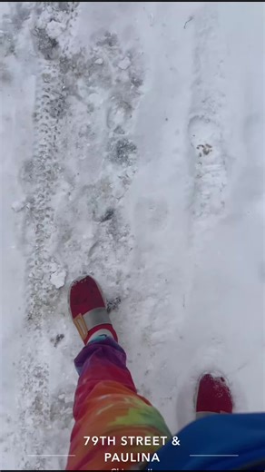 Welcome to Chicago. Snow snow snow. I’m fuckin tired of this fuckin shit. #Chicago #Sonic #SonicTheHedgehog #CTA