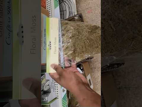 Turn Dollar Tree poster board & moss into THIS! 😍