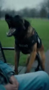 13K views · 219 reactions | I WAS JUST SITTING ON A PARK BENCH WHEN A...