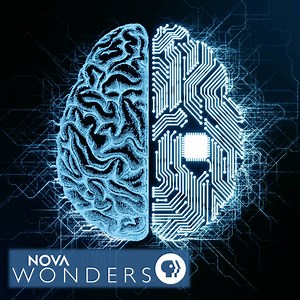 146K views · 602 reactions | How does today’s artificial intelligence actually work—and is it truly intelligent? Don't miss "NOVA Wonders: Can We Build a Brain?" Now streaming: pbs.org/wgbh/nova/wonders/#build-a-brain | NOVA l PBS | Facebook