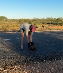 18 reactions | Emily Joy on Reels | Facebook