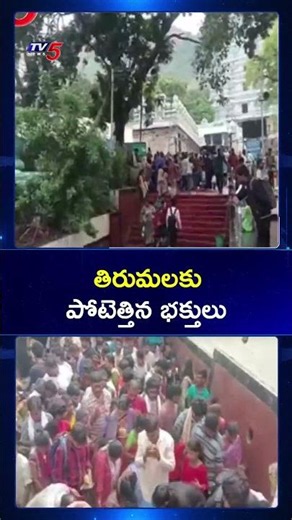 Tirumala Sri Venkateswara Swamy Darshan Latest Update | TTD Updates | TV5 News