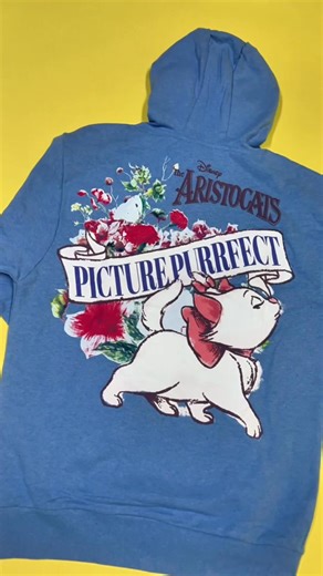 11K reactions · 859 shares | the new Disney Coquette collection is heeeeeere, & she is ✨ beautiful ✨ shop the drop in stores & online now!!  | Five Below | Facebook