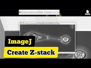 How to combine microscope z-stack images into video