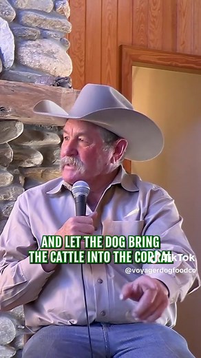 Voyager Dog Food Co. on TikTok