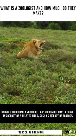 What is a Zoologist and How Much Do They Make?