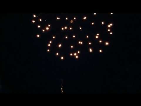 Display Shell 60mm Orange Peony