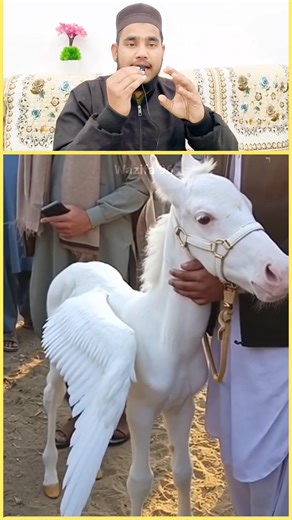 Do Par Wala Ghoda 😱🐎 | Mashallah Gaon Ka Ajab Manzar #doParWalaGhoda #BeautifulHorse #Mashallah