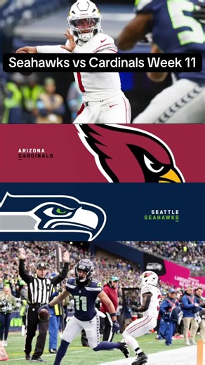 NFL Highlights on TikTok