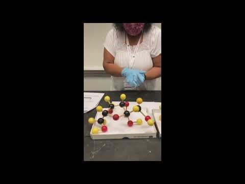 BIO 110 Constructing Molecules Lab