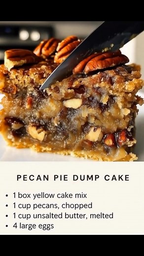 This Pecan Pie Dump Cake is a must-try for all dessert lovers! It’s a delightful blend of flavors and textures that will have everyone coming back for more! - Pecan Pie Dump Cake - Ingredients: - 1 box yellow cake mix - 1 cup pecans, chopped - 1 cup unsalted butter, melted - 4 large eggs - 1 cup corn syrup - 1 cup brown sugar, packed - 1 teaspoon vanilla extract - 1/2 teaspoon salt Directions: 1. Preheat your oven to 350°F (175°C) and grease a 9x13-inch baking dish. 2. In a large mixing bowl, co