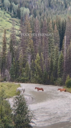 A bar Z Mountain Adventures on Instagram: "TAG EM! ⚡️"