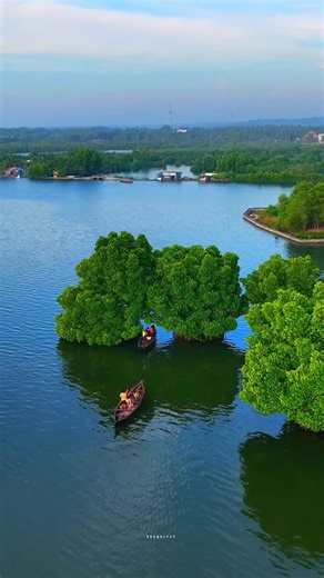 Arun P Jose | God's Own Country in green. Location:kerala. Kerala is a state in southwestern India, known for its beautiful backwaters, palm-fringed... | Instagram