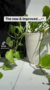 Our 🆕 & IMPROVED ✨ Travel Bidets make you feel CONFIDENT pooping away from home!💩 No longer will you: miss your bidet at home😔, have to wipe with 1-ply office tp🧻, or even a twig in the woods!🌲 Hello TUSHYs Travel Bidets are great for travelers, office goers, and can even double as a peri bottle for those postpartum!💦 Shop now at hellotushy.com and see why our Travel Bidet has over 1,000 5-⭐️ reviews! #hellotushy #tushybidet #bidet #traveltips | TUSHY