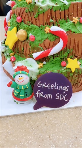 Thank you SDC for the lovely Christmas cake! 🎄🍰 A sweet gesture that truly made our holiday season warmer. Wishing StarDream Cruises a joyful Christmas and a wonderful year ahead ! ✨ | Cruise Master