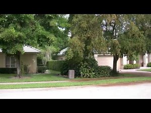 The Bucida Caterpillar: A Black Olive Tree Pest