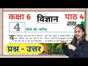 कक्षा 6 की विज्ञान पाठ 4 प्रश्न उत्तर | पौधों को जानिए | Class 6 Science chapter 4 Question Answer