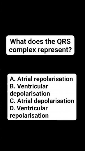 What does the QRS complex represent?