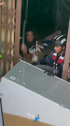 Saving puppies 🐶 💪 | Joey Santini Photography