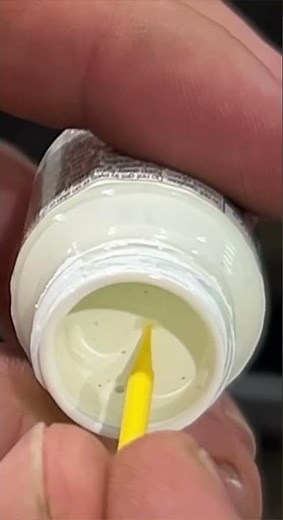 Tesla Paint Repair Kit