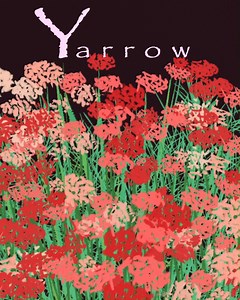 As #CaliforniaNativePlantWeek comes to a close, we are featuring one...