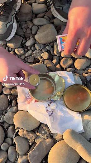 SURVIVAL на TikTok