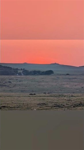 Why I Love Dartmoor (video courtesy of Steve Homer)