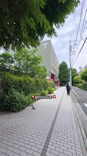 Temple University Japan Campus on Instagram: "Campus tour: Temple University Japan from every side.⁠ ⁠ #university #japan #campustour"