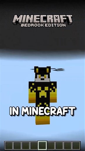 Void in Java VS Bedrock