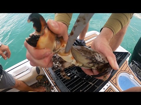 STONE CRAB On Fish | Catch and Cook - Best Recipe Yet | Englewood, FL.