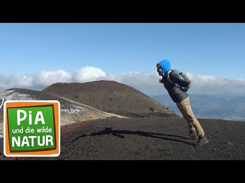 Heiße Spur auf dem Vulkan | Reportage für Kinder | Pia und die wilde Natur