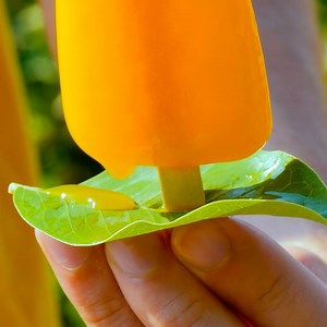 1.7M views · 1.3K reactions | Des astuces géniales pour l'extérieur que tout le monde devrait connaître: | Cuisine Sympa | Facebook