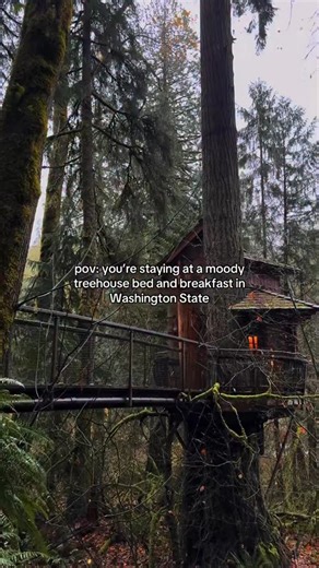 Moody, rainy, romantic. Escape to the Pacific Northwest, where there are 7 treehouses and three additional unique forest accommodations 🌲 Book now using the link in our bio! #washington #treehouse #getaway #forest #cabin | Treehouse Point