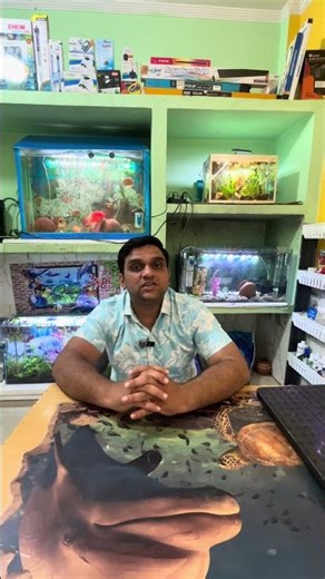 Aquarium Problems? One Channel = All Solutions 💯Fish Dying? Water Change Issues? Fix Everything NOW