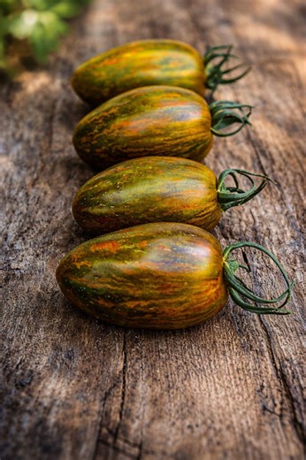 20 Brad's Atomic Grape Tomato Seeds: Rare Heirloom NON GMO - Etsy