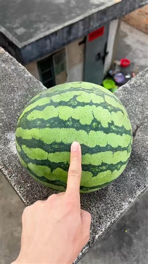 Will a watermelon explode if it rolls down from a tall building? part3 🍉💥 #watermelon