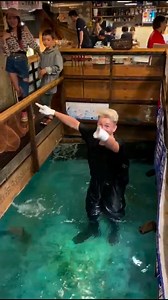 Caught a fish with my bare hands | Exploring with Josh