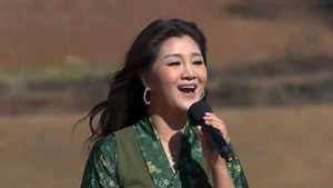 这才是《鸿雁》真正的原唱，唱出了辽阔草原的感觉，太令人陶醉了