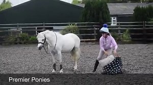 44K views · 225 reactions | Sold to Switzerland  濾 For Sale 濾...