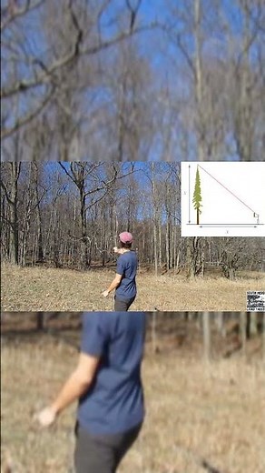 Measuring Height of a Tree with a Stick. #tree #measurement #mathematics