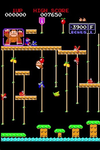 DONKEY KONG & DONKEY KONG JR KILL SCREENS