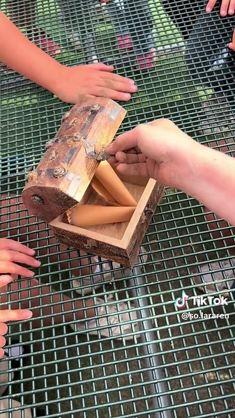 Skattjakt vid Vikingagravarna: Lärdom och Gåtor