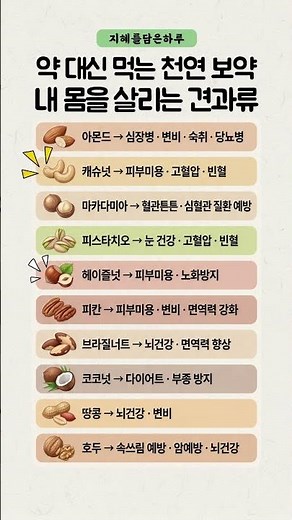 약 대신 먹는 천연 보약! 내 몸을 살리는 견과류 종류별 효능. #견과류 #건강정보 #영양