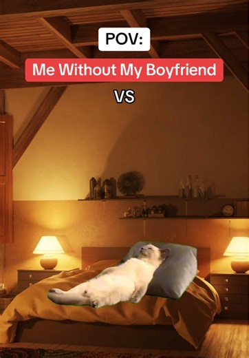 Dramatic Relationships: A Humorous Take on Couples