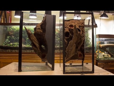 DIY Naturalistic Expanding Foam Vivarium Background (Aquarium to Viv Conversion pt.2A)
